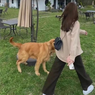 地狱为何恶劣